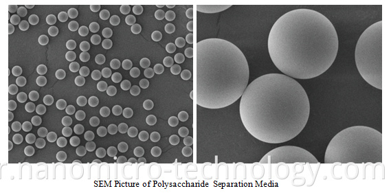 Polysaccharide Separation Media